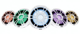 Altoparlanti e subwoofer